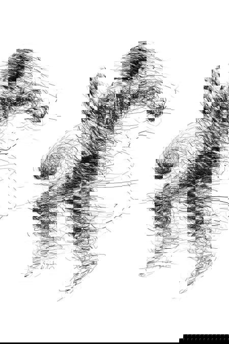 Nova-Scribble art