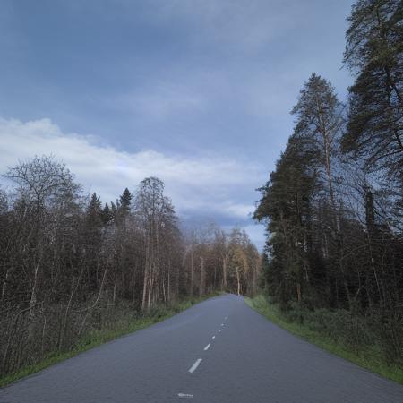 WinterForestPath