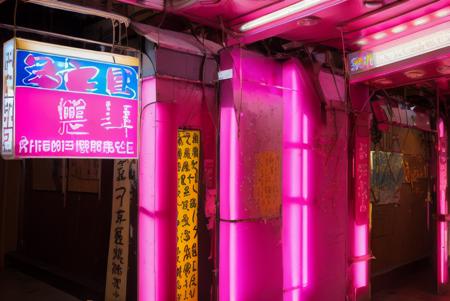 香港の色情按摩店の入口（油麻地付近）/Entrance of Hong Kong(Yau Ma Tei eria) sexual massage parlors.版本v1 (ID: 177059)