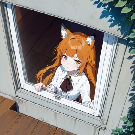 View from Outside the window