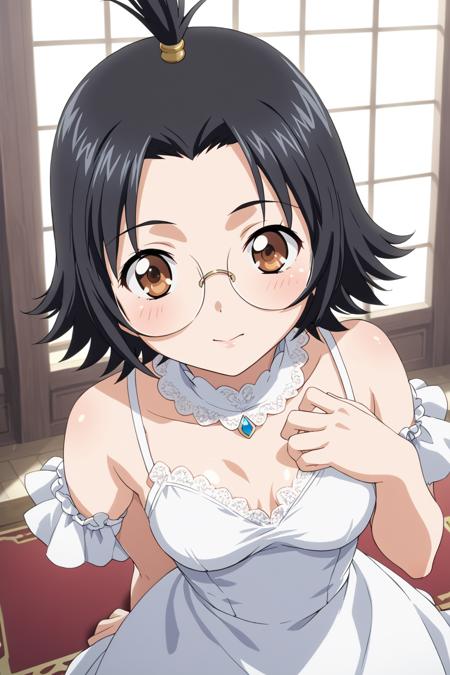 (ikkitousen) rikuson hakugen/pony
