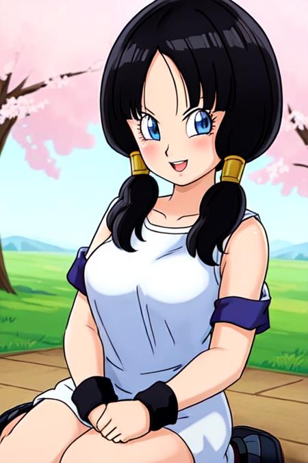 Videl (Dragon Ball Z) Lora