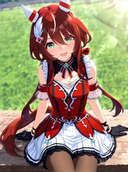 Win_Variation(umamusume)_XL & PONY & ILL
