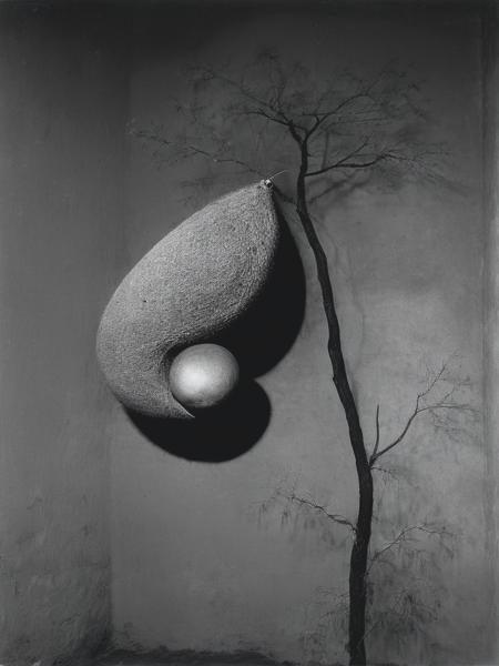 Roger Ballen Style