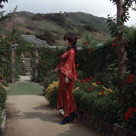Enter the Dragon