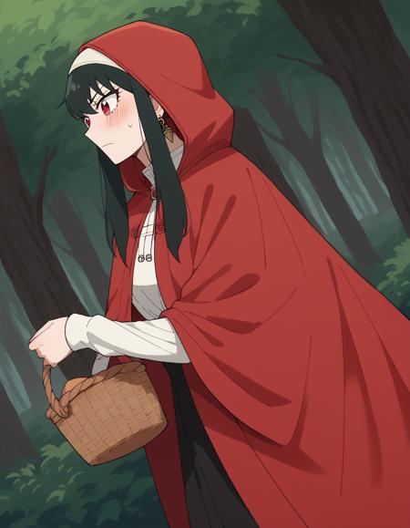 Little Red Riding Hood (Grimm) - Clothing