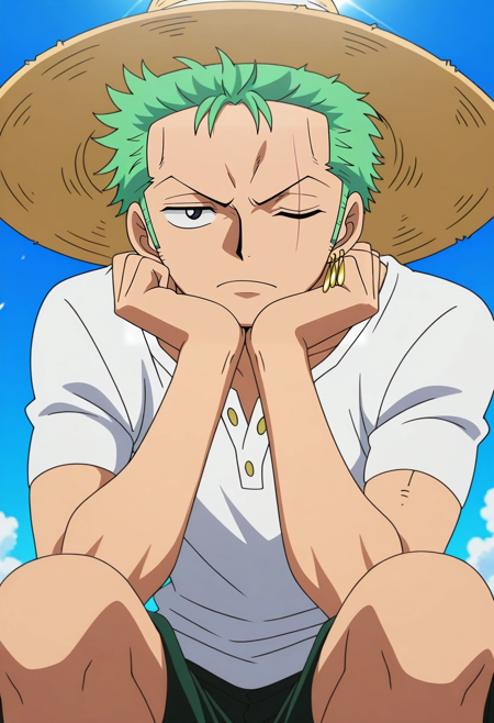 Zoro Roronoa | One Piece