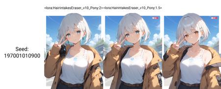 Hair Intakes Eraser | エアインテーク削除Lora (Pony&illustrious)