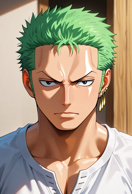 Zoro Roronoa | One Piece