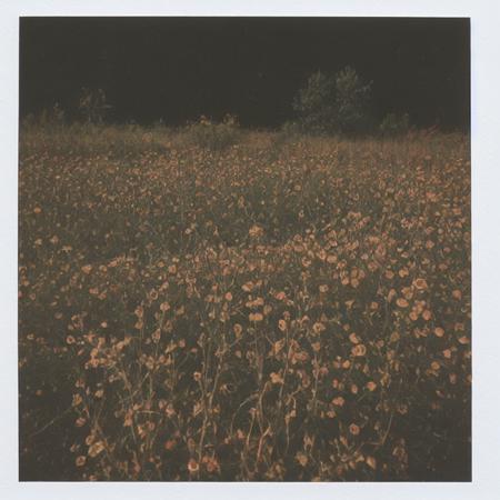 FujiFilm Instax Polaroid