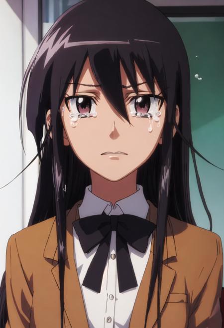 Amakusa Shino (Seitokai Yakuindomo)