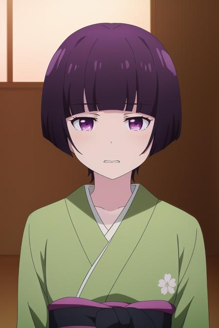 Eromanga sensei (Complete Pack) // PDXL(PonyXL) and SD1.5 models in versions
