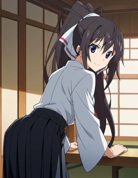 Houki Shinonono (篠ノ之 箒) - Infinite Stratos (IS 〈インフィニット・ストラトス〉)