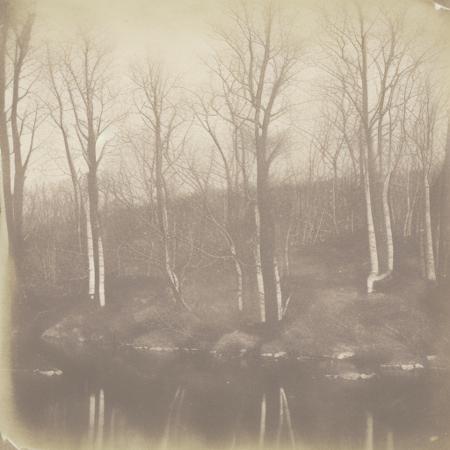 Calotype 1840版本V1 (ID: 1011239)