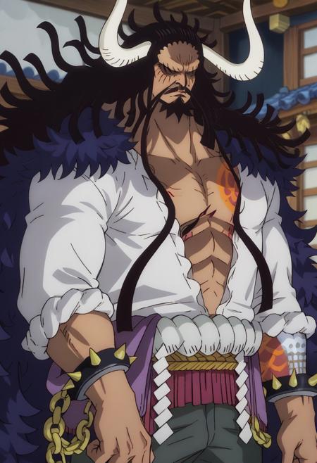 ?‍☠Kaido (M/D) | One Piece!