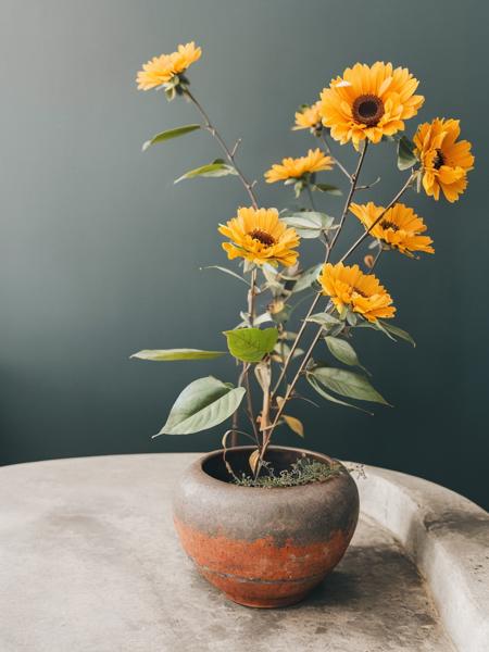 ins style,still life,simple background,简约静物