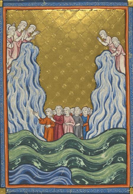 Golden Haggadah ✨