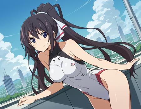 Houki Shinonono (篠ノ之 箒) - Infinite Stratos (IS 〈インフィニット・ストラトス〉)