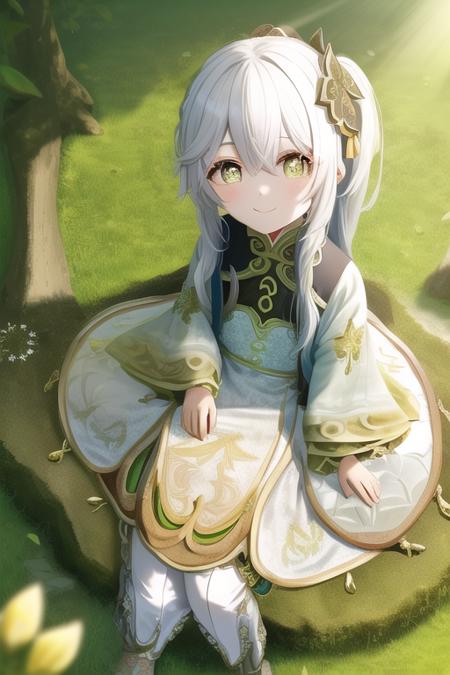 hanfu_nahida_dualnetwork_train版本v1.0 (ID: 59533)