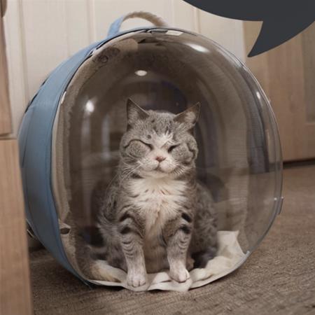 DiscordMessageBubble