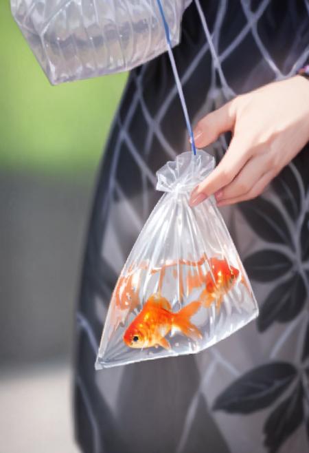 金魚袋 bagged goldfish SDXL