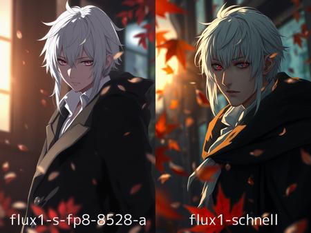flux schnell fp8 8528