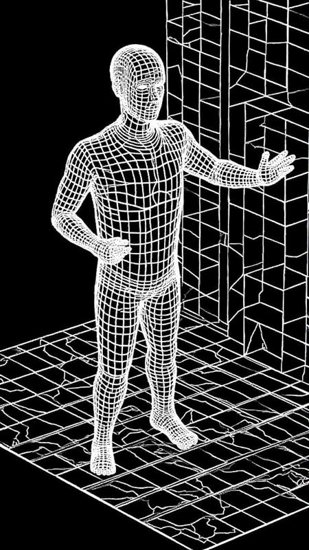 Lines