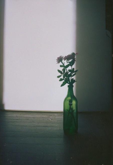 FP100C