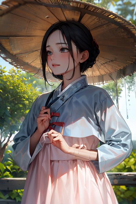 Female Noble Class Hanbok - Korea Clothes