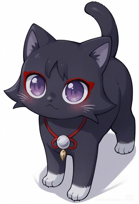 wanderer cat