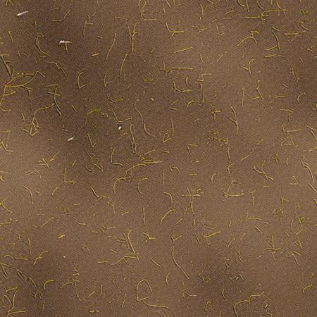 Diffuse Texture