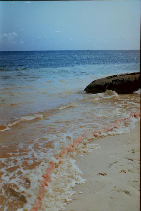 c41_zenit_kodakgold