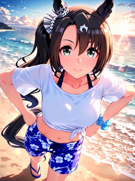 Satono Crown (umamusume)_XL & PONY & ILL