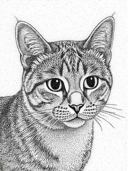 Pointillism Art style