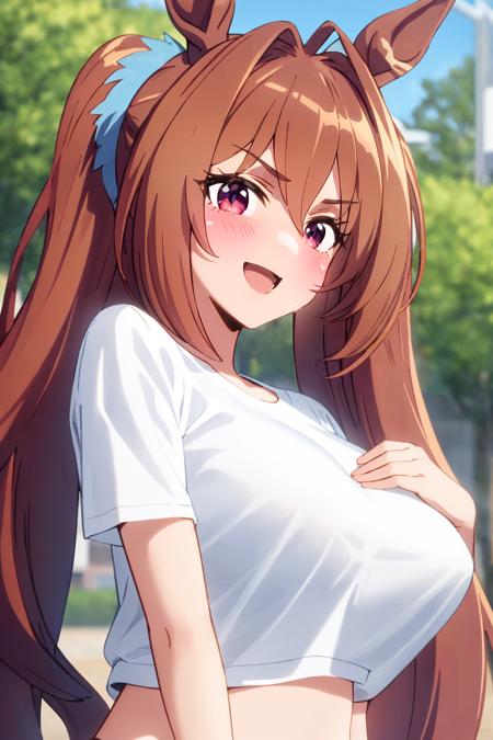 Artstyle : Uma Musume Pretty Derby OVA anime