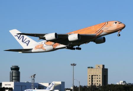 A380 Flying Honu / A380 フライング・ホヌ