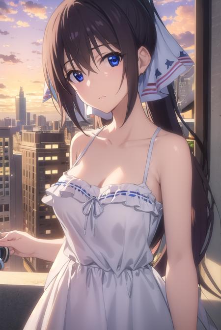 Houki Shinonono (篠ノ之 箒) - Infinite Stratos (IS 〈インフィニット・ストラトス〉)
