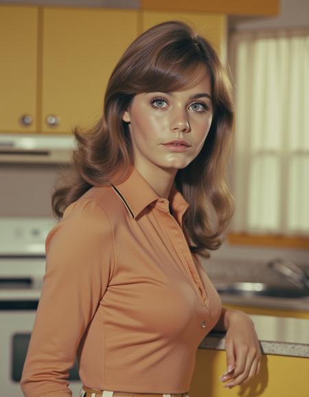 Susan Dey (The Partridge Family - 70s) Flux