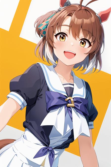 Dantsu Flame (umamusume)版本v1.0 (ID: 510458)
