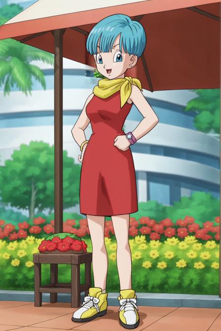 Bulma - Dragon Ball Super (HellKaiza)