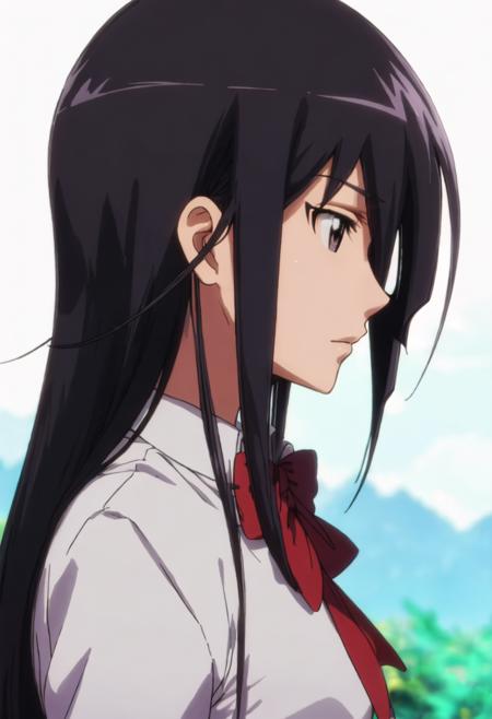 Amakusa Shino (Seitokai Yakuindomo)