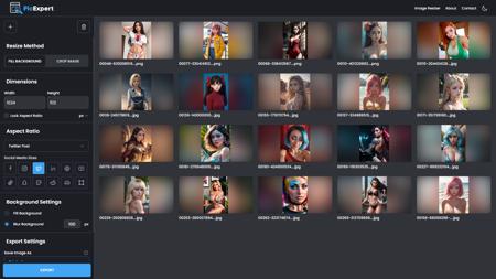 picExpert Bulk Image Resizer And Crop Tool