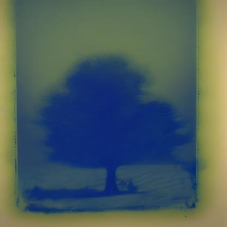 Cyanotype 1880-1910