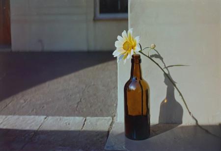 belomo_kodak_gold