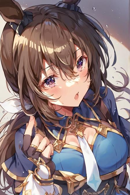 Admire Vega (umamusume)_XL & PONY & ILL版本PONY_v1.03 (ID: 1120091)
