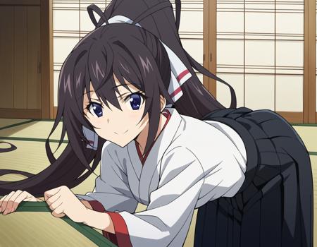 Houki Shinonono (篠ノ之 箒) - Infinite Stratos (IS 〈インフィニット・ストラトス〉)