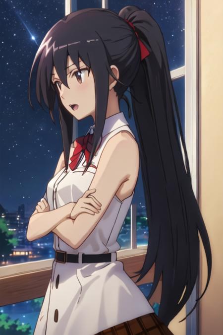 Amakusa Shino (Seitokai Yakuindomo)