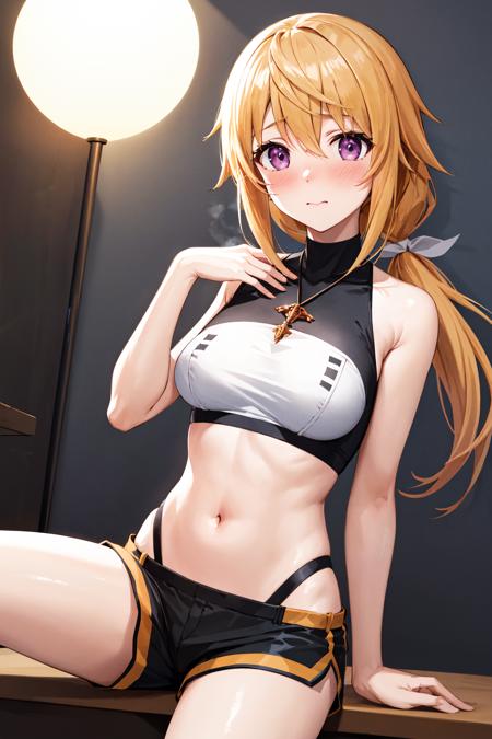 Charlotte Dunois シャルロット・デュノア / Infinite Stratos