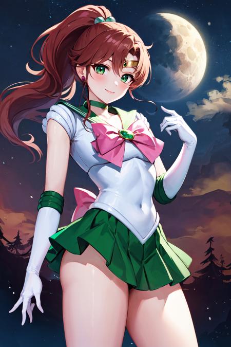 Sailor Jupiter セーラージュピター / Sailor Moon版本v1.0 (ID: 90579)