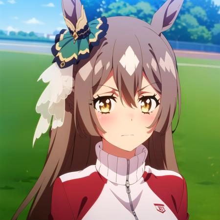Umamusume - Satono Diamond版本v1.0 (ID: 218969)